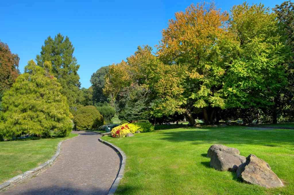 Lawn Service Gallery -3