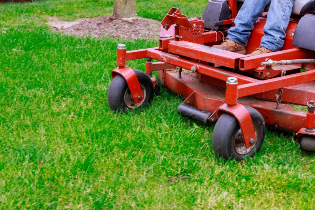 Lawn Service Gallery -5