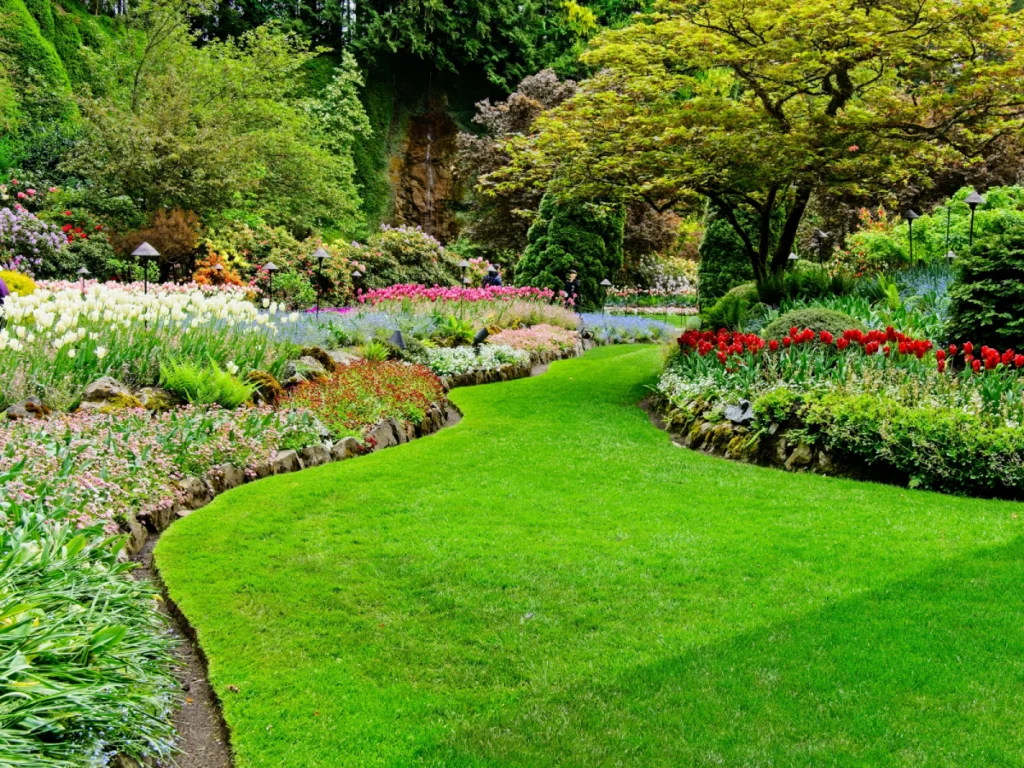 landscaping Gallery -2