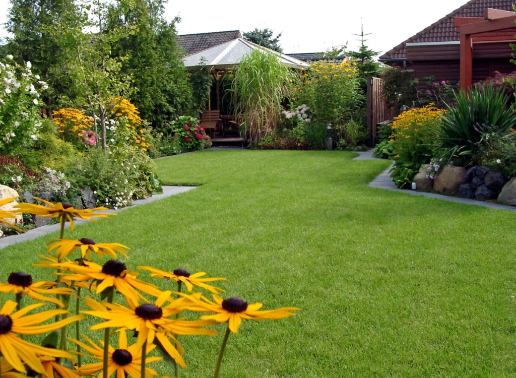 Lawn Service Gallery -1